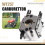 Garden Carburetor Carb for WALBRO WT257 WT-257 WT 257 3