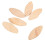 600Pcs No.20 Assorted Wood Biscuits for Tenon Machine Woodworking Biscuit Jointer 5