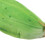 Groene Augurk Met 3D Realistisch Design 4