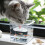 1Plastic Aquarium Drinkfontein Tafelmodel 8