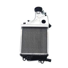 Motorcycle Engine Radiator Cooler Radiator Cooling Assembly for PCX160 WH150T-2