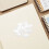 20St Verstelbare Plankhouders, Plastic Schapclips in Wit 3