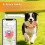 Husdjurs GPS Tracker Global 4G LTE  Anti Lost Device  Real- Location Tracking SOS Alert för IOS Android 5