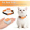Pet GPS Tracker Global 4G LTE  Anti Lost Device  Real- Location Tracking SOS Alert for IOS Android 8