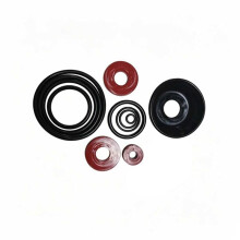 Complete Valve Replacement Parts for RK34-375R 3/4-Inch Dedicated Valve Repair Kit