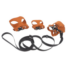 1Set Stevige Dierenriem En Baardagame En Hagedissen