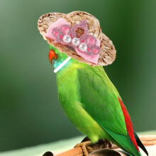 2St Kleurrijke Pet Hoedjes Van Met Leuk Cosplay Ontwerp