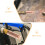 40St Roségouden Contact Tips Weld Accessoires Koperen 5