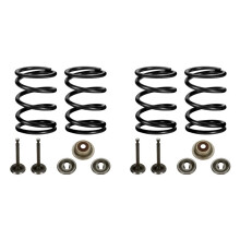 2X Racing 18lb Valve Springs Kit for 196cc 212cc 224cc Non Hemi GX160 GX200 6.5HP OHV Clone Engine Bike