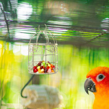 4St Gouden Vogelvoederhulpstuk Met Ijzeren Constructie
