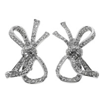 2St Schoenaccessoires Zilverkleurig Met Verstelbare Clips
