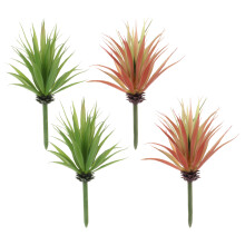 4St Succulenten in Verschillende Kleuren Voor Thuis En Kantoor