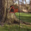 2X Shepherd Hooks Estaca de Jardim Resistente à Ferrugem 6