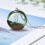 12St Creatieve Micro Landschap Paddenstoelen Voor DIY Knutselprojecten 3