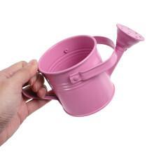 Decoratieve Roze Metalen Gieter Voor Succulenten En