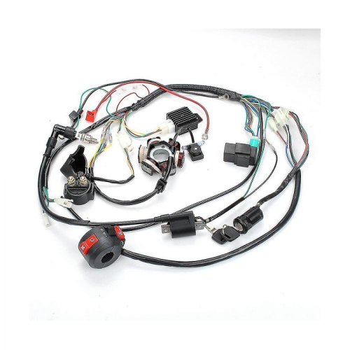 Μαύρη Παρασκευή Μοτοσικλέτα Atv Pit Bike Go Kart Πλήρης Ηλεκτρική Καλωδίωση Στάτ 2