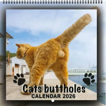 Féilire Poll Tóine Cat Dé hAoine Dubh 2026, Féilire Liathróidí Cat Féilire Greannmhar Poll Tóine Cat, Liathróidí Cat 12 Mhí,