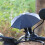 4St Mobiele Telefoon Zonnescherm En Motor 3