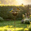 Rustic Eight- Bird Feeder Gaeden Stake 28.3'' Rustic Metal Yard Art Decor 6