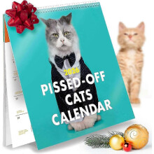 (2) Pissed Off Cats 2026 Calendar - Funny, Sassy Gift for Angry Cat Lovers - 12 Month Wall Planner for Joke Present, Christmas Gift