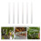 12St Acryl Planttags Voor , Herbruikbare En Heldere Labels 4
