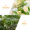 12St Acryl Planttags Voor , Herbruikbare En Heldere Labels 5
