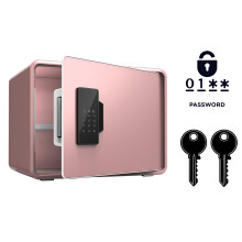 Coffre-fort blindé pour la maison avec serrure électronique et clé 25x35x26 cm Rose — coffre securite