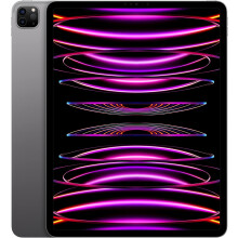 Apple iPad Pro 12,9 Zoll 2022 M2 512 GB Grau WLAN