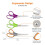 Amazon Basics Stainless Steel Scissors, Comfort Grip Multi-Functional Utility, Multipurpose, PVD Co 6