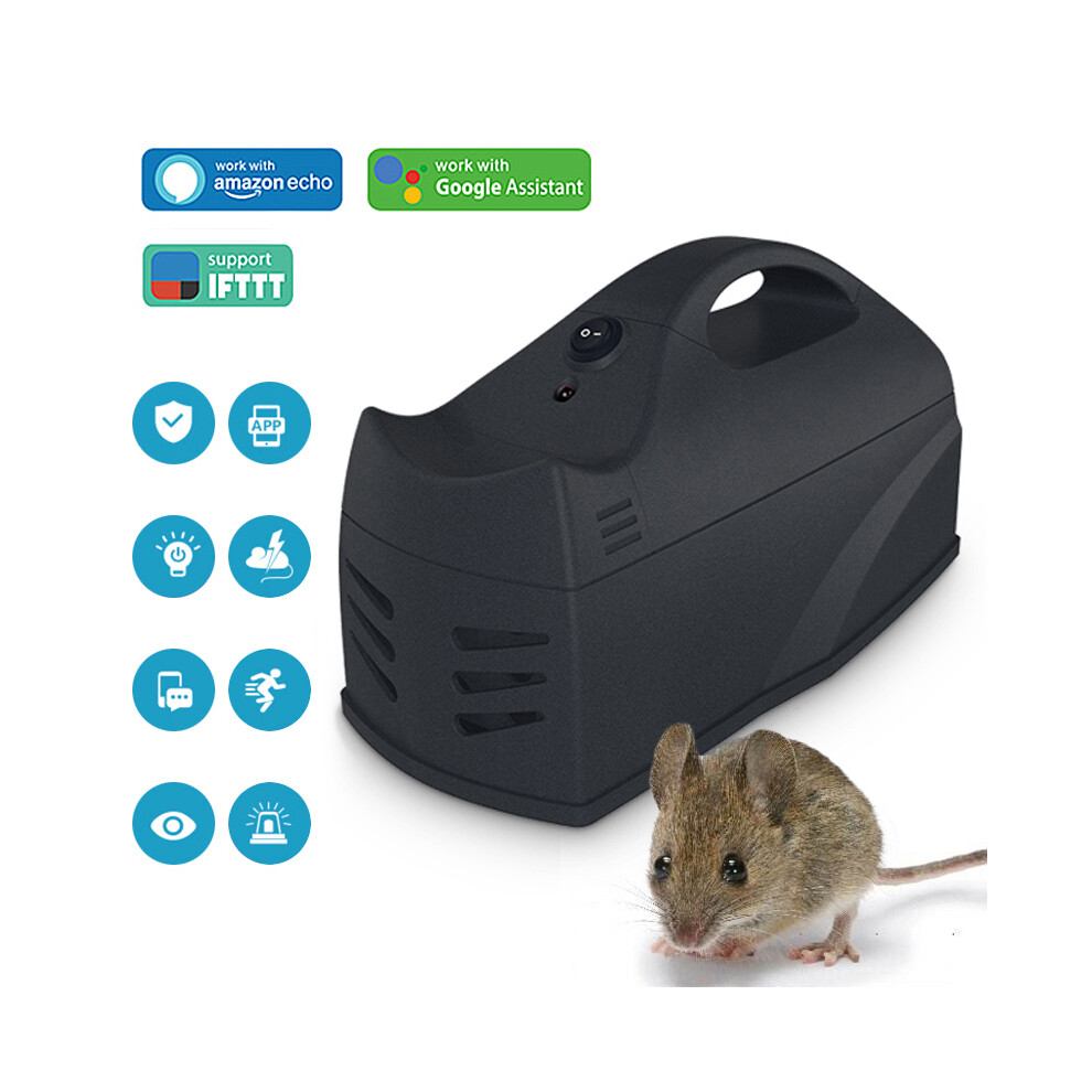 Wifi Mice Trap Board - Sticky Glue Trap For Rodents, Rats, Snakes, Bugs & Insects - Pest Control Alternative To Rat Poison - Non-Toxic Mousetrap 413590565284