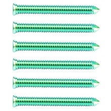 4.0x32mm Titanium Locking Screws for Veterinary Orthopedics and Surgical Instruments 6 Pcs