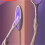 (Pruple) electric mosquito swatter 5