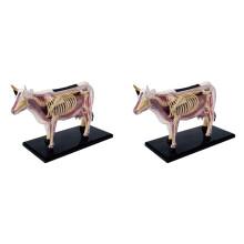 2X Animal Organ Anatomy Model 4D Cow Intelligence Assembling Toy Teaching Anatomy Model DIY Popular Science Appliances