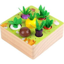 Wooden Toy Sorting Game Fine Motor Skills Montessori Baby Toys Children's Toy 1 2 3 Years Old