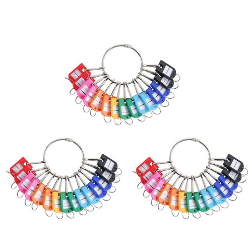 Portable Metal Ring Key Organizer with 60 Spring Hooks & Key Tags with Ring and Label Window