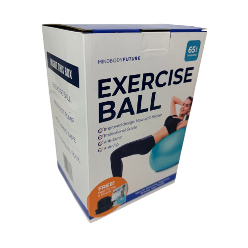 Exercise Ball 65cm Yoga Pregnancy Pilates Base Ring 1