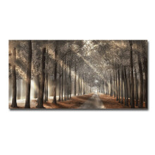 Baum-Leinwandbild, Wald-Wandbild mit Herbstlandschaft und sonnenbeschienener Nebelszene, Giclée-Druck in hoher Auflösung, lebendige Farben,