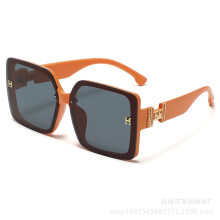 Square Leopard Print Letter Sunglasses for Women, Vintage Designer Style Driving Eyewear, Fashion Ladies Sun Glasses