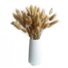 60 Hasen SchwäNze Gras NatüRliches Getrocknetes Pampas Gras Dekor KüNstlicher Blumenstrauß Boho Hause Dekor Getrocknete Gras Blume B