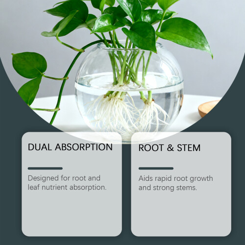 (100ml) Hydroponic plant nutrient solution Concentrated root growth promotion potted flower care solution 2