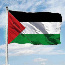 Large 3 x 5 FT Palestine Flag with Double Stitched Vivid Color Soft Uv Fade Resistant Lightweight Durable
