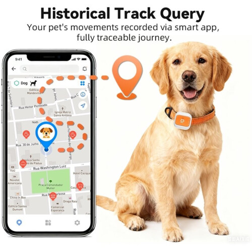 Pet GPS Tracker Global 4GLTE  Anti Lost Device  Real- Location Tracking SOS Alert for IOS Android 2