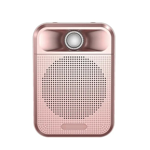 Little Bee Portable Loudspeaker for Teachers with