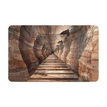 Door Mat Water Absorbent Non-Slip 60x40cm