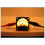 2X -39 Analog Panel 35mm VU DB Meter Power Amplifier Music Spectrum Analyzer Audio Level Meter Backlight Driver Board 5