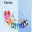 Portable Metal Ring Key Organizer with 60 Spring Hooks & Key Tags with Ring and Label Window 2