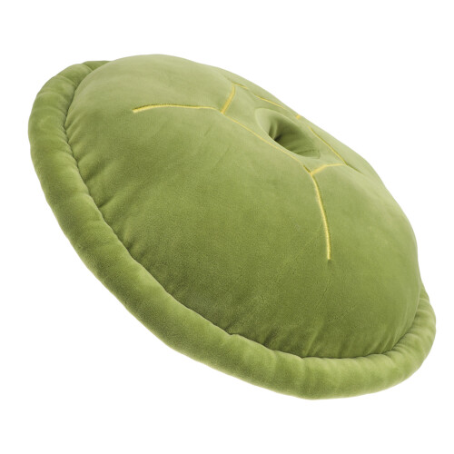 Decoratief Schildpad En Stevig Voor Woonkamer
