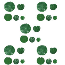 50 Pièces 5 Sortes Mousse Artificielle Flottante Feuilles de Lotus Feuilles de Lys Tampons Feuillage Artificiel ÉTang Décor pour Piscine Aquarium