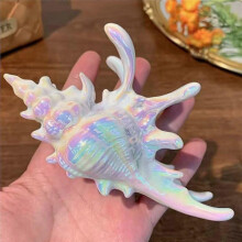 (F) Holographic Conch Shape Hair Claws 5" Non Slip Large Big Hair Clips