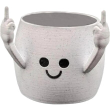 Pots de fleurs d'intérieur compatibles avec les plantes succulentes, pots de fleurs, décorations pour la maison, intérieur compatible